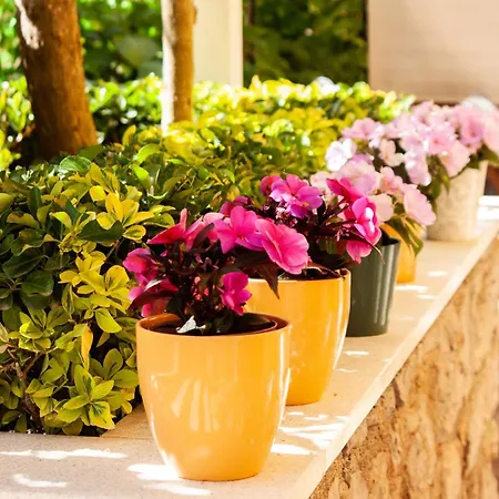 Enna * マリ・ロシニュ