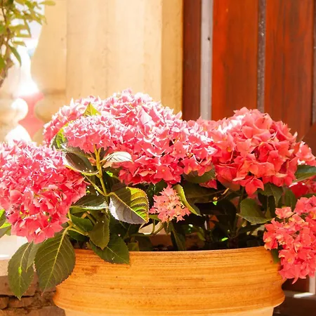 アパート Enna